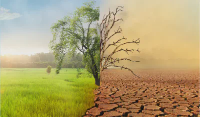 klimaat